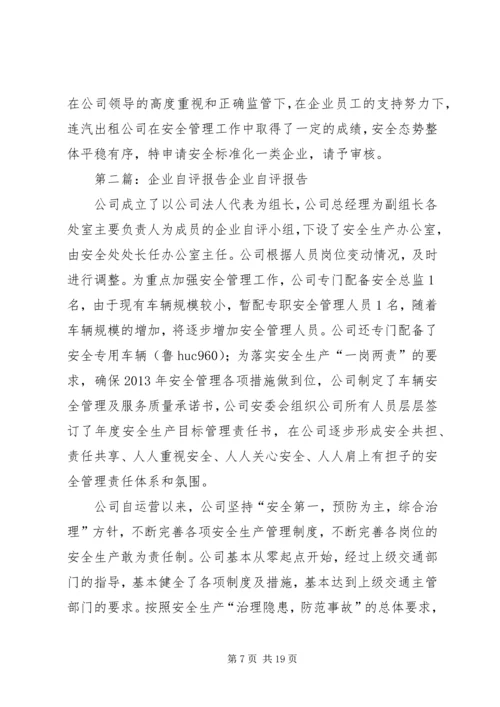 企业自评[范文大全].docx