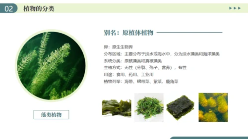 植物介绍笔记植物分类知识科普通用PPT模板