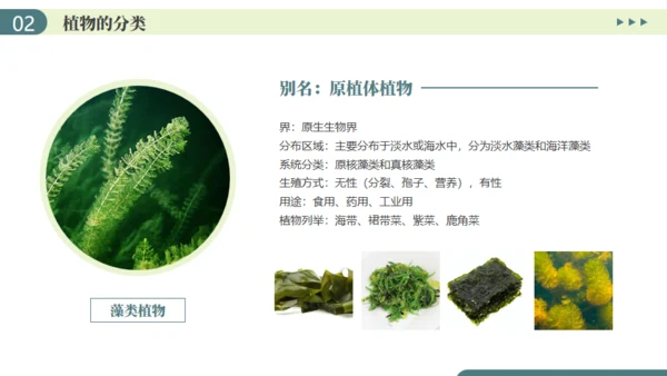 植物介绍笔记植物分类知识科普通用PPT模板