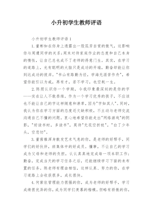 小升初学生教师评语.docx