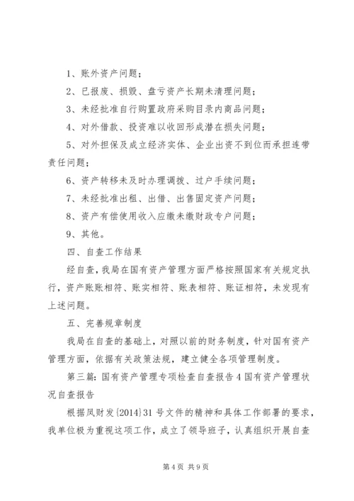 国有资产管理专项检查自查报告.docx