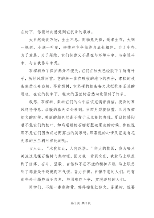 升旗仪式校长讲话稿 (5).docx