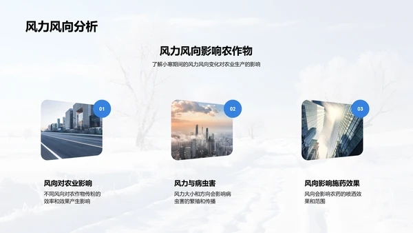 小寒气候与农业策略