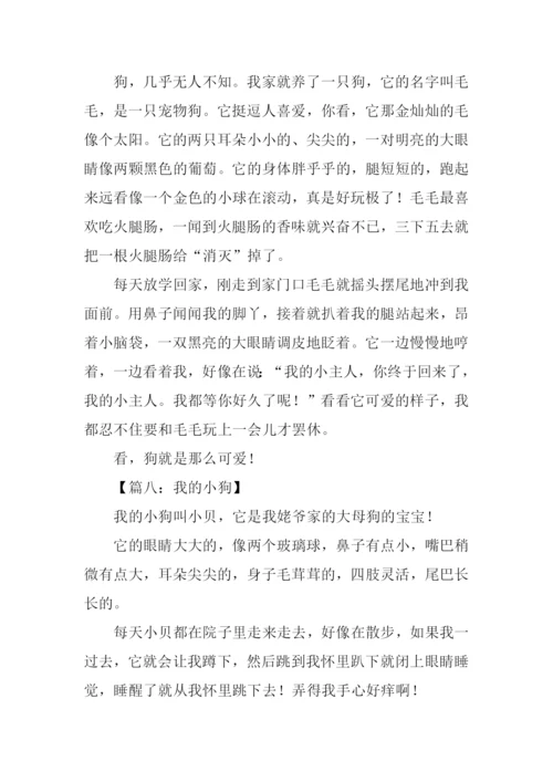 我的小狗作文250字.docx