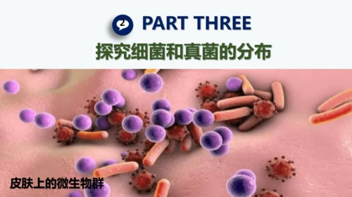 人教版生物七年级上册2.3.1《微生物的分布》课件(共22张PPT)+视频素材