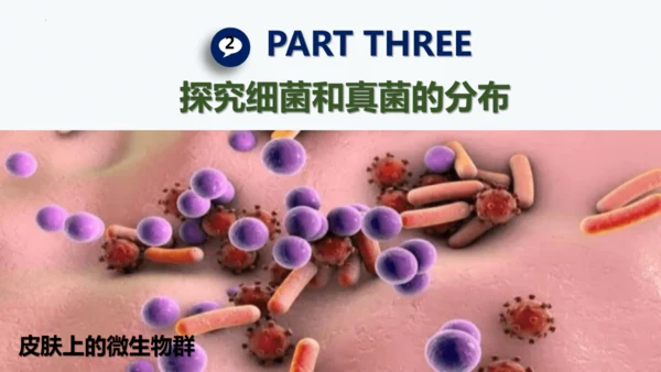 人教版生物七年级上册2.3.1《微生物的分布》课件(共22张PPT)+视频素材