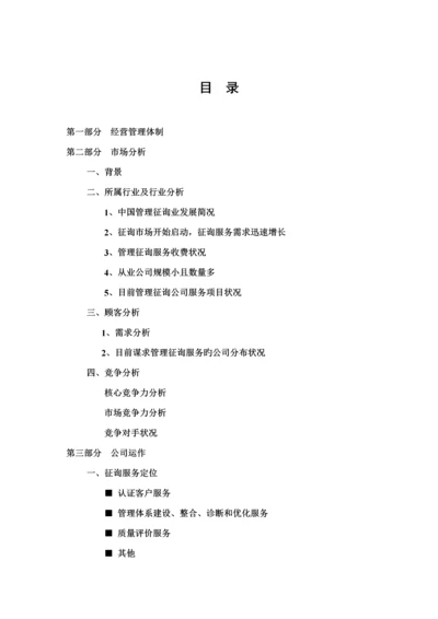 咨询公司商业综合计划书.docx