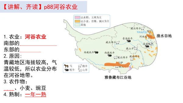 八下：青藏地区（一轮复习课件29张）（人教版）