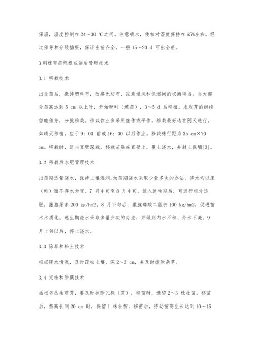 优良刺槐品种应用埋根育苗配套技术.docx