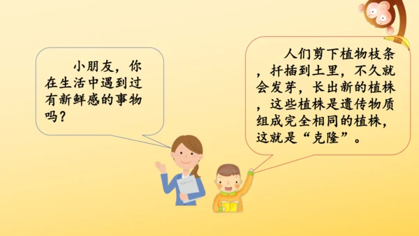 统编版语文三年级上册第一单元  语文园地一  课件
