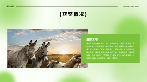 绿色光影设计作品集通用PPT模板