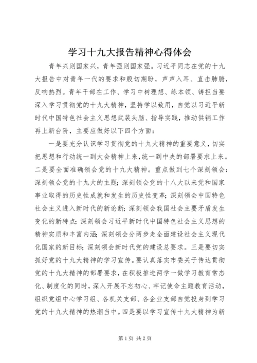 学习十九大报告精神心得体会 (13).docx