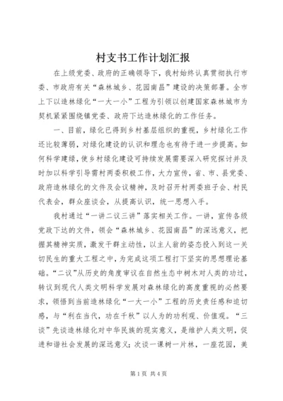 村支书工作计划汇报 (2).docx