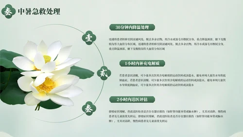 绿色清新夏季防暑降温健康指南PPT模板