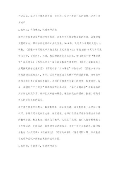 促教师成长谋学校发展.docx