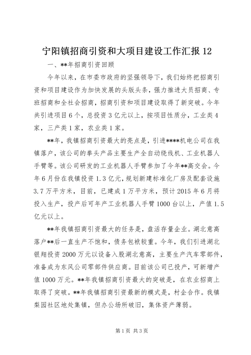 宁阳镇招商引资和大项目建设工作汇报12 (3).docx