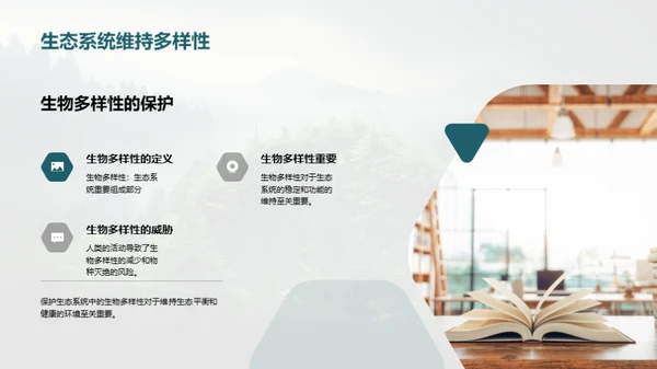 生态守护：我们的责任