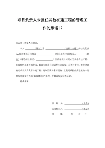 项目负责人未担任其他在建工程的管理工作的承诺书