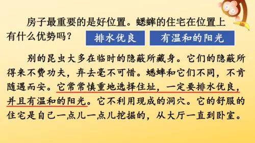 11 蟋蟀的住宅  课件