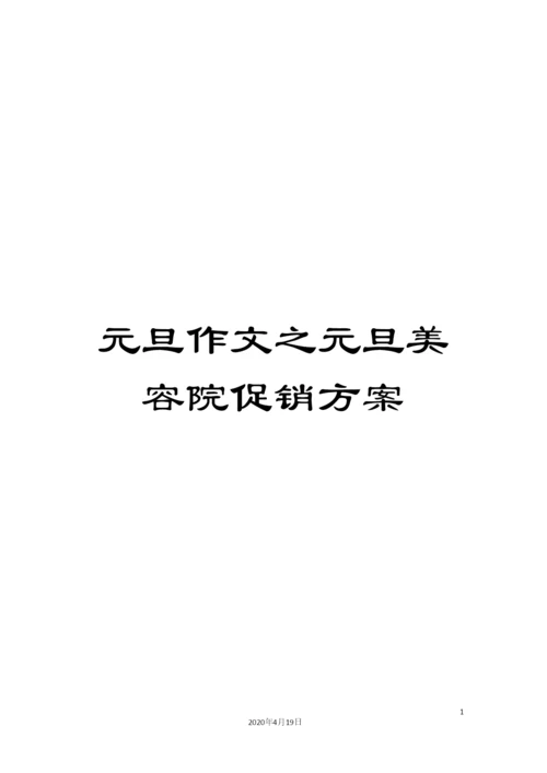 元旦作文之元旦美容院促销方案.docx