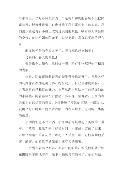春天的景色作文350字-1.docx