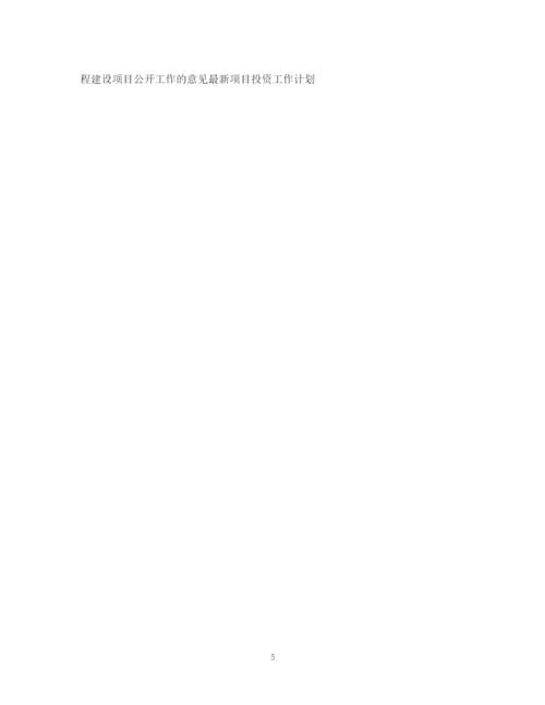 精编之项目投资工作计划范文.docx