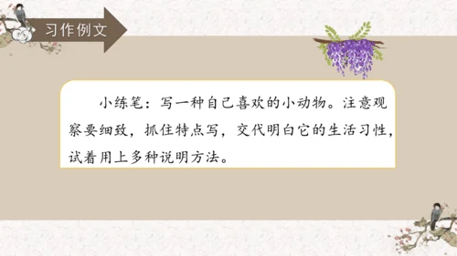 第五单元习作例文鲸