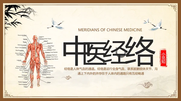 棕色复古中医经络养生PPT模板宣传PPT动态PPT