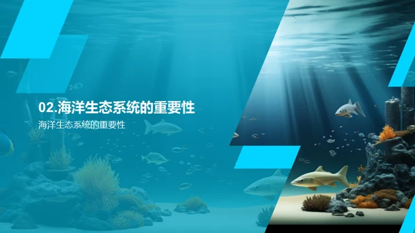 海洋生态：我们的责任