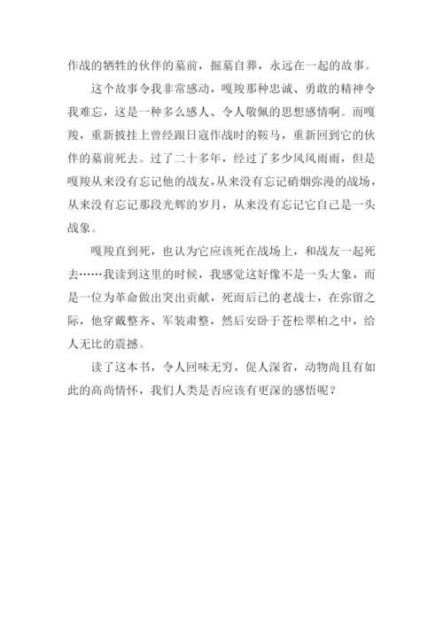 读最后一头战象有感600字.docx
