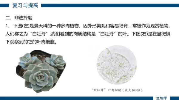 综合实践项目单元小结-【备课优选】七年级生物上学期同步精品课件（2024人教版）(共19张PPT)