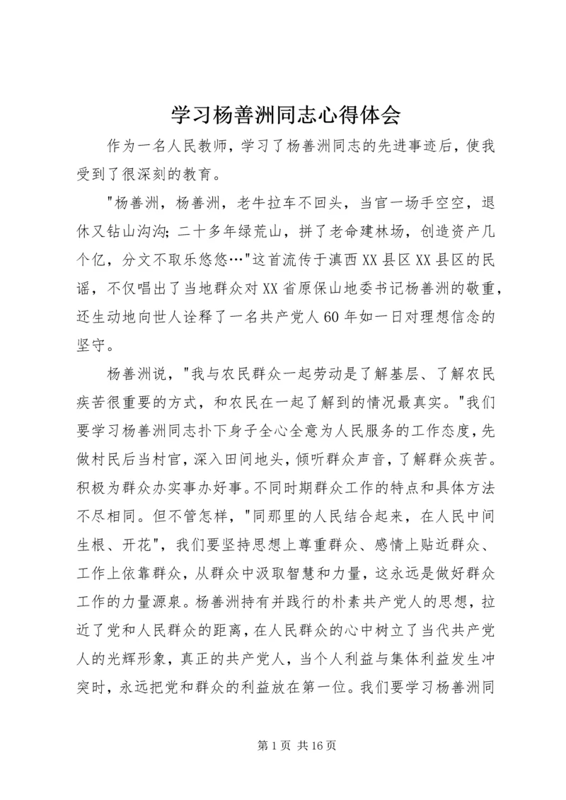 学习杨善洲同志心得体会.docx