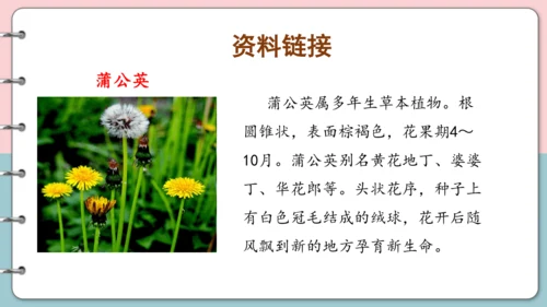 第16课《金色的草地》（第一课时）课件