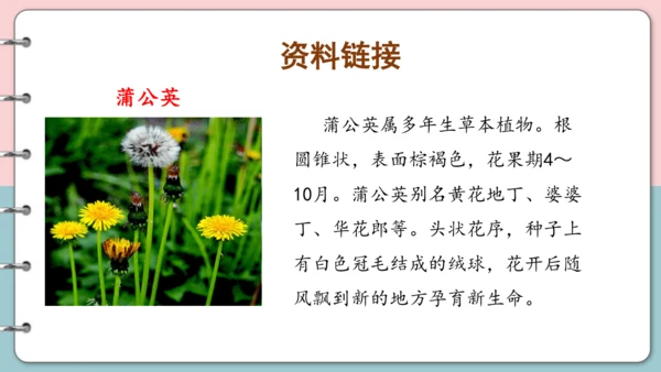 第16课《金色的草地》（第一课时）课件
