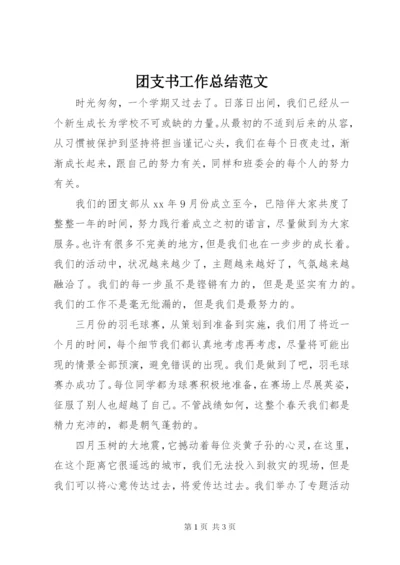 团支书工作总结范文.docx