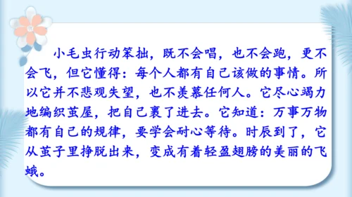 22.小毛虫（第二课时）教学课件