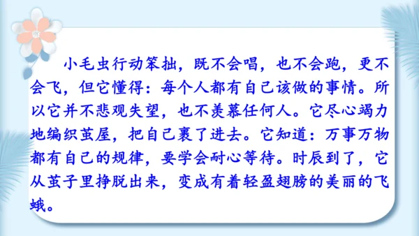 22.小毛虫（第二课时）教学课件