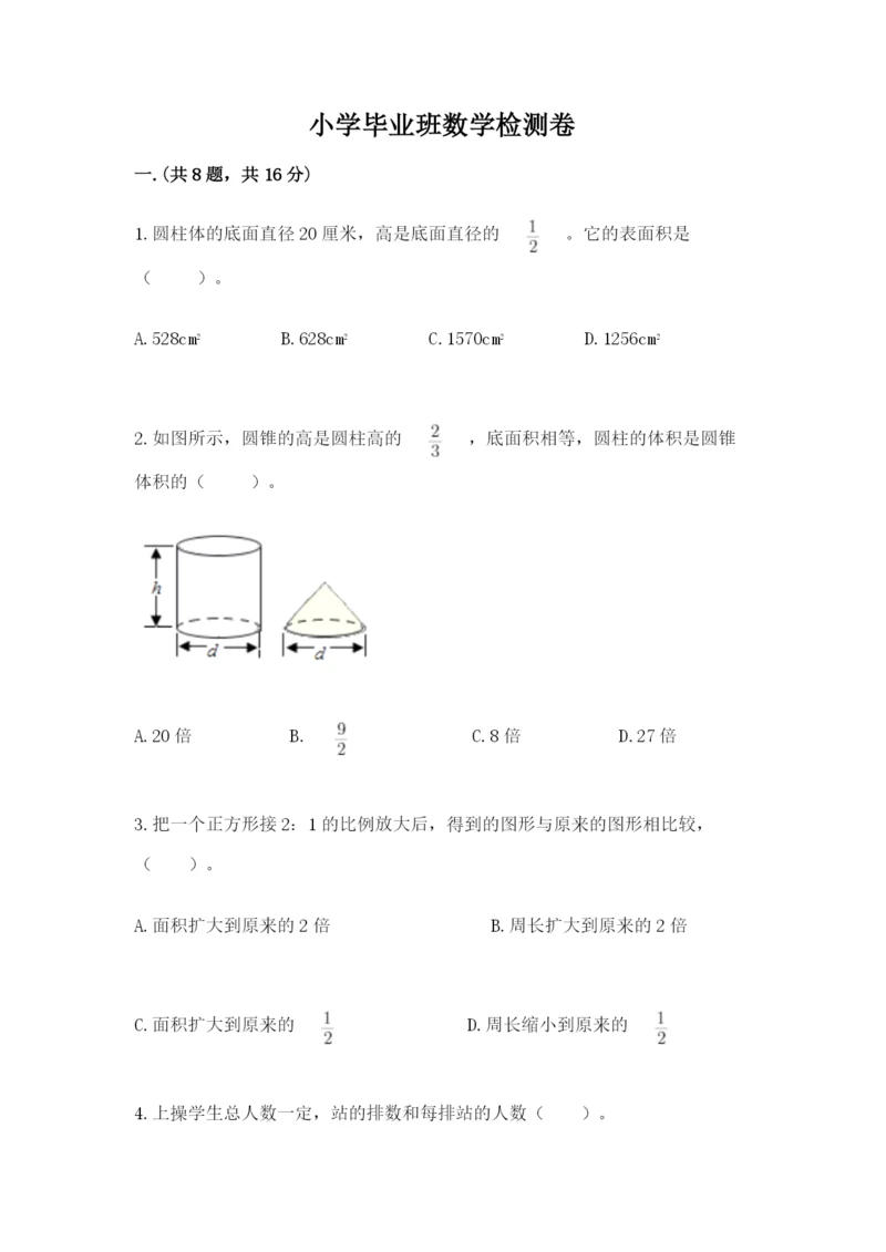 小学毕业班数学检测卷附完整答案【典优】.docx