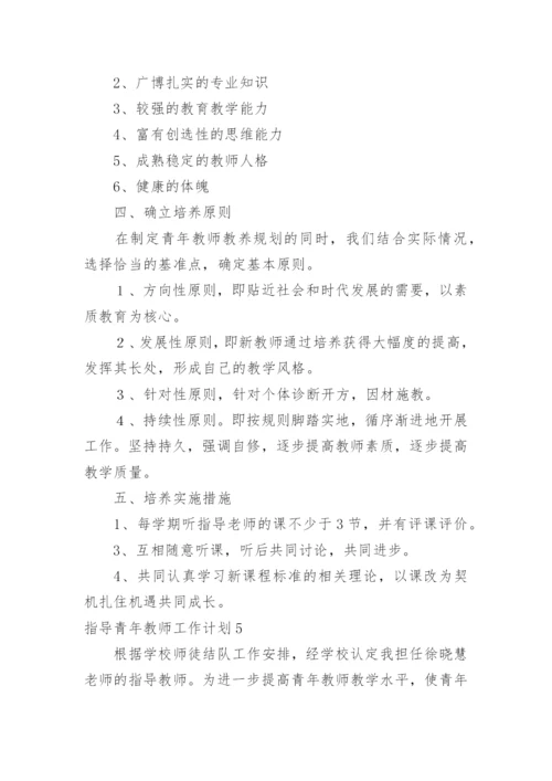 指导青年教师工作计划.docx