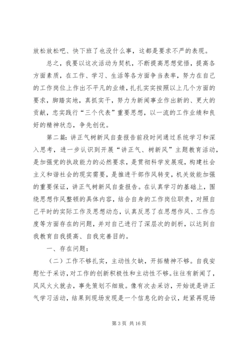 讲正气树新风自查报告.docx