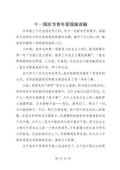 十一国庆节青年爱国演讲稿.docx