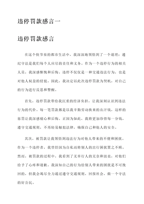 违停罚款感言