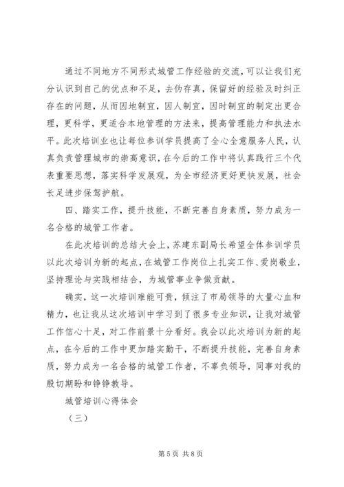 城管培训心得体会 (3).docx