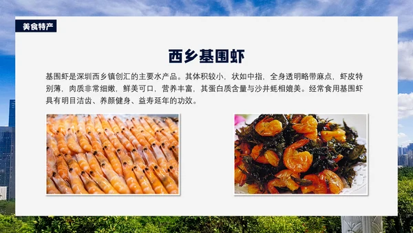 深圳印象通用PPT模板