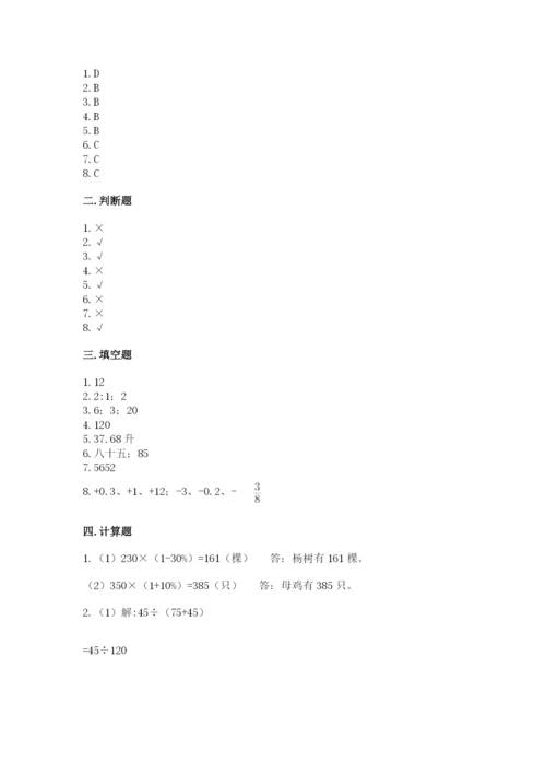 北京版六年级下册数学期末测试卷（考点精练）.docx