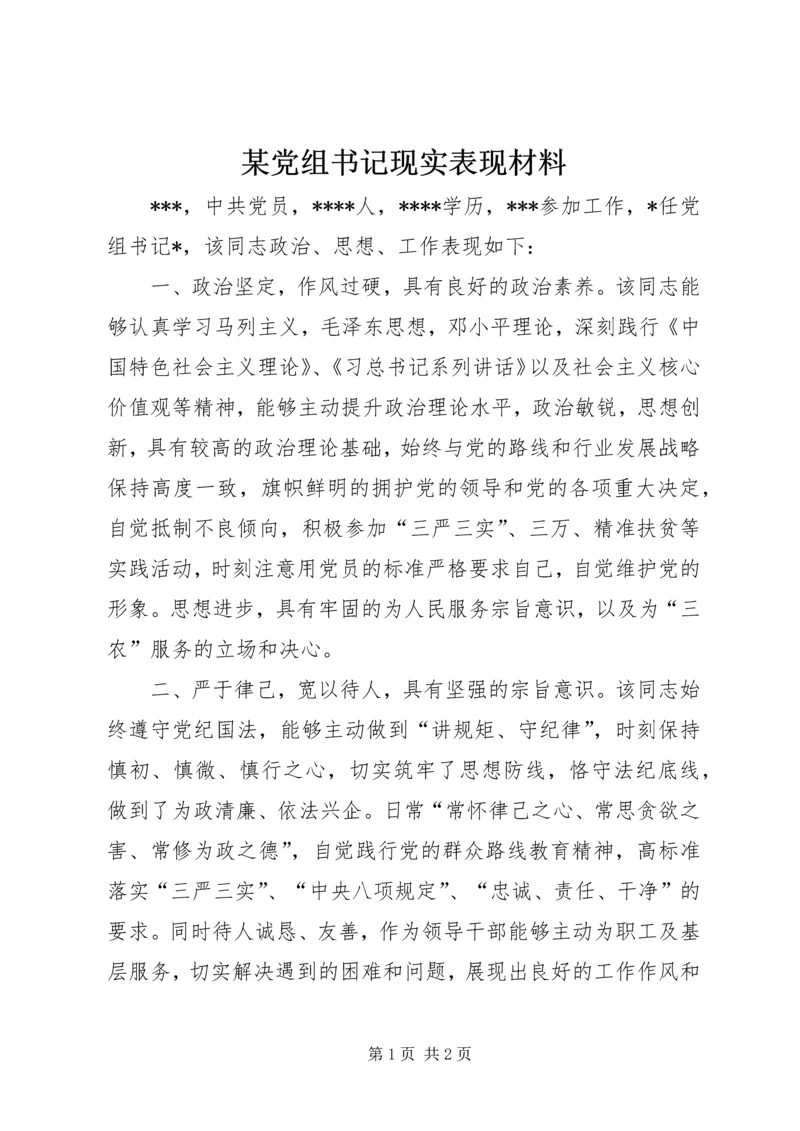 某党组书记现实表现材料.docx