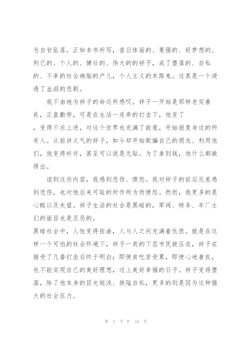 暑假骆驼祥子阅读心得10篇.docx