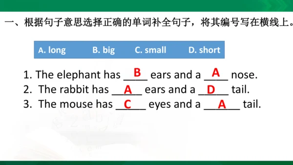 期中复习