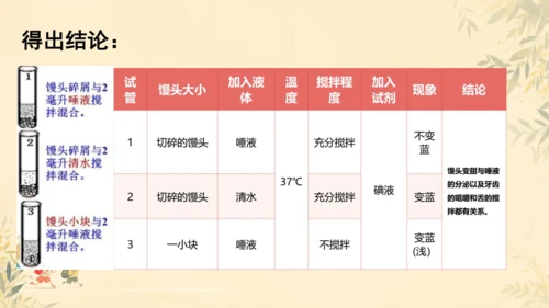 初中生物学人教版（新课程标准）七年级下册第4.2.2 消化和吸收课件(共21张PPT)