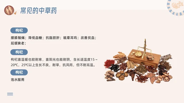 蓝色简约神奇中药草PPT模板宣传PPT动态PPT中医药
